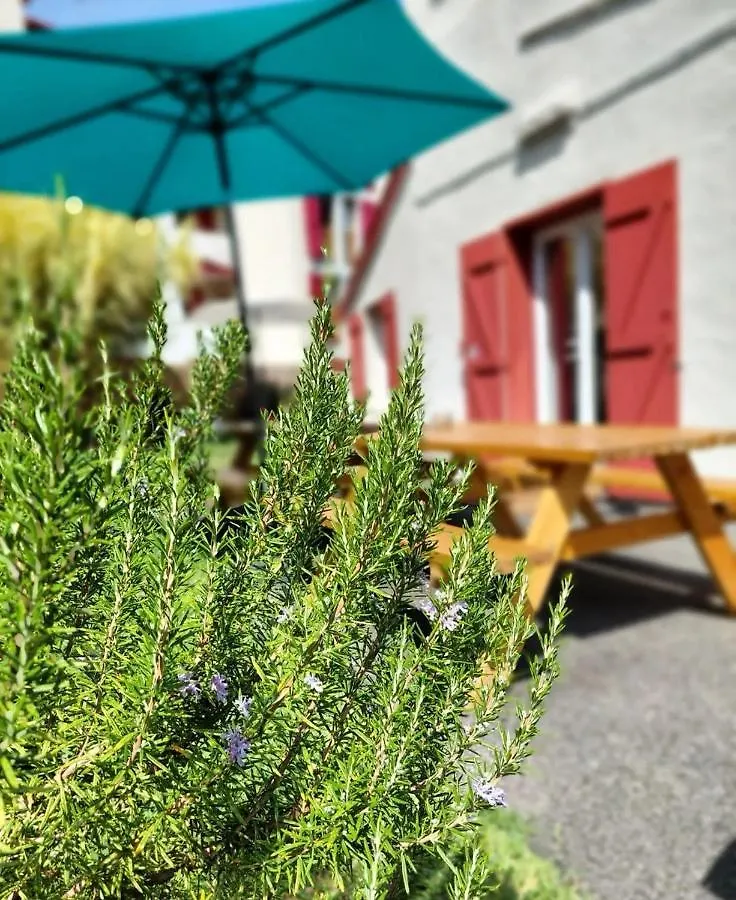 Garden - Utopy Hostel Biarritz France
